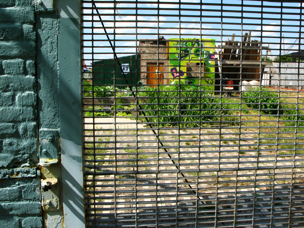 © Julie Chetaille | new york summer 2010 | opened three locks in the Bronx