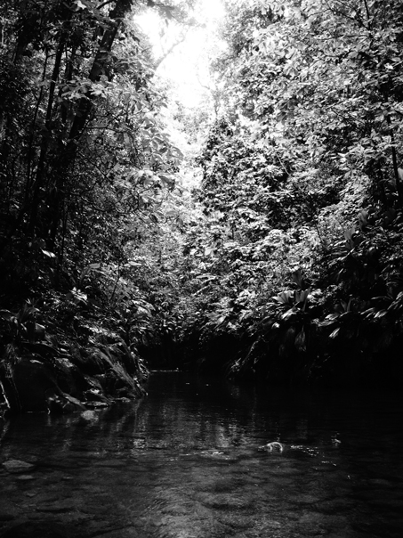 © Julie Chetaille | guadeloupe fin 2013 | Le mystère du bout de la rivière