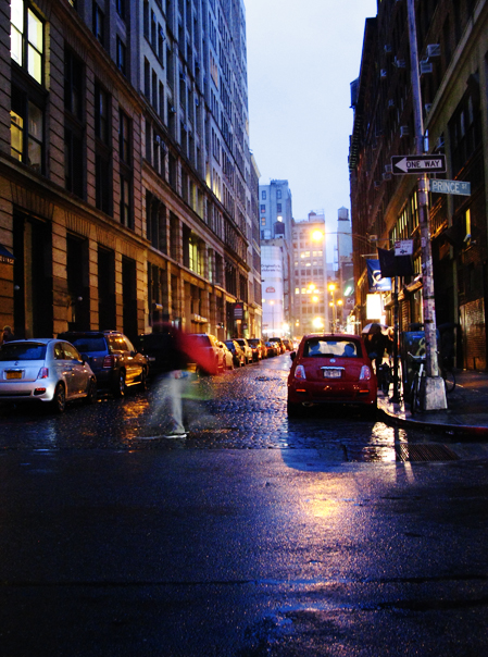 © Julie Chetaille | new york fall 2012 | Purple Rain