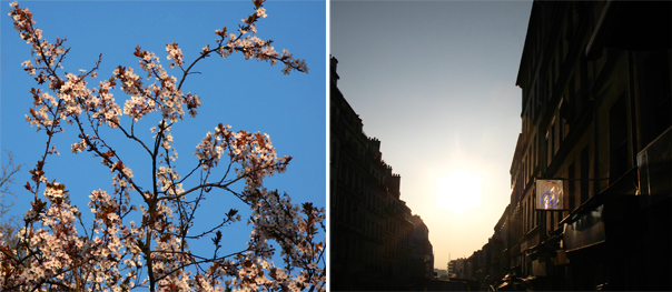© Julie Chetaille | paris 2012 | Un air de printemps